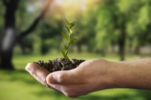 ¿Quiénes impulsan la sostenibilidad en la República Dominicana?