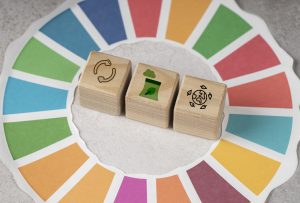 Alianzas sostenibles en República Dominicana: clave para avanzar en los ODS