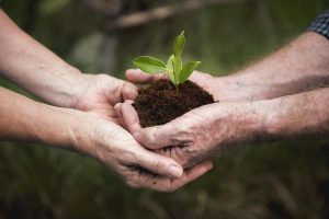 ¿Qué pasa cuando un proyecto sostenible falla?